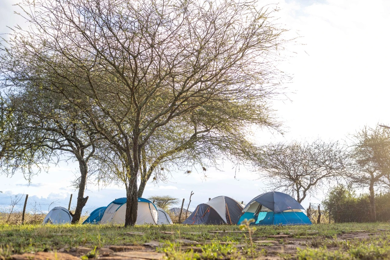 Camping at Eden Resort